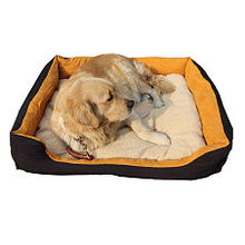 寵物專用品 從必需品到生活美學，打造愛寵的健康與快樂生活