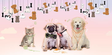 寵物用品與食品 為愛(ài)寵打造健康舒適生活