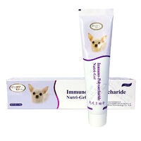 2024年十大熱門(mén)寵物用品 科技與關(guān)懷塑造養(yǎng)寵新趨勢(shì)